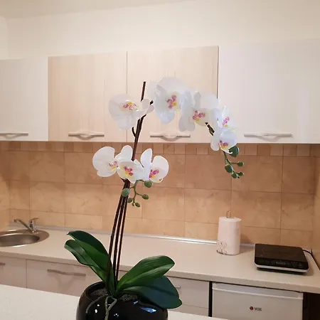 Kej Free Parking Apartment *